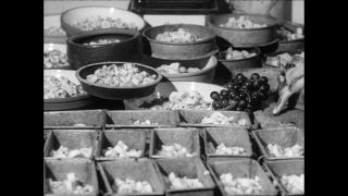 Link to Video | Paul Karl Lieberenz