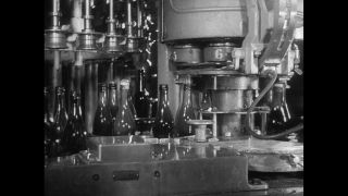 Link to Video | Paul Karl Lieberenz