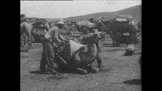 Link to Video | Paul Karl Lieberenz