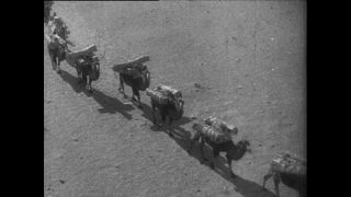 Link to Video | Paul Karl Lieberenz