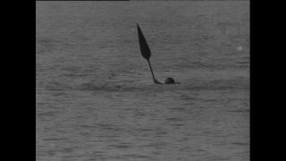 Link to Video | Paul Karl Lieberenz, Kamerun