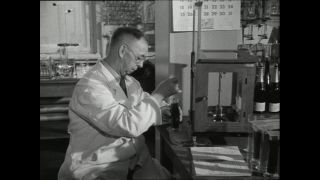 Link to Video | Paul Karl Lieberenz