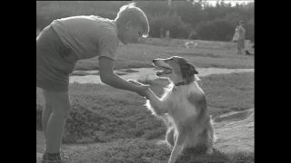 Link to Video | Paul Karl Lieberenz