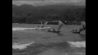 Link to Video | Paul Karl Lieberenz, Kamerun