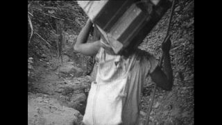 Link to Video | Paul Karl Lieberenz