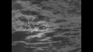 Link to Video | Paul Karl Lieberenz, Kamerun