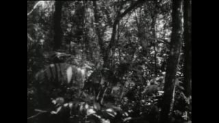 Link to Video | Paul Karl Lieberenz