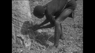 Link to Video | Paul Karl Lieberenz