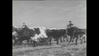 Link to Video | Paul Karl Lieberenz