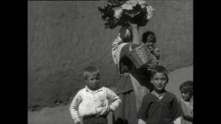 Link to Video | Paul Karl Lieberenz