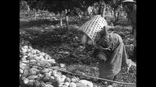 Link to Video | Paul Karl Lieberenz