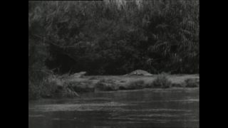 Link to Video | Paul Karl Lieberenz