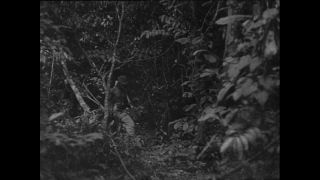 Link to Video | Paul Karl Lieberenz, Kamerun