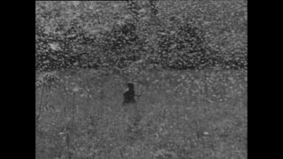 Link to Video | Paul Karl Lieberenz