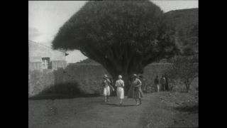 Link to Video | Paul Karl Lieberenz