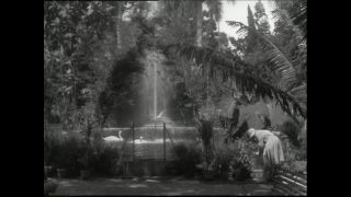 Link to Video | Paul Karl Lieberenz