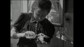 Link to Video | Paul Karl Lieberenz