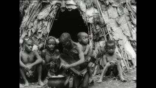 Link to Video | Paul Karl Lieberenz