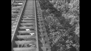 Link to Video | Paul Karl Lieberenz