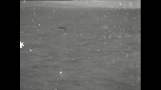 Link to Video | Paul Karl Lieberenz, airplane, Kamerun