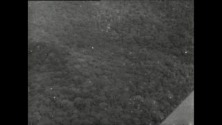 Link to Video | Paul Karl Lieberenz