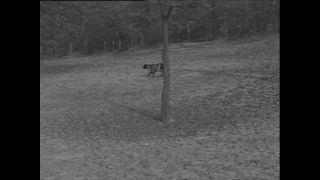 Link to Video | Paul Karl Lieberenz