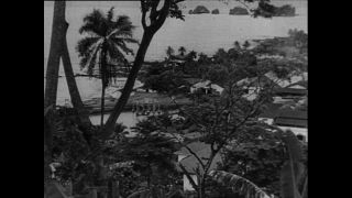 Link to Video | Paul Karl Lieberenz, Kamerun