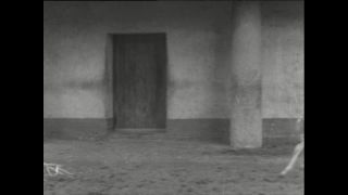 Link to Video | Paul Karl Lieberenz