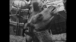 Link to Video | Paul Karl Lieberenz