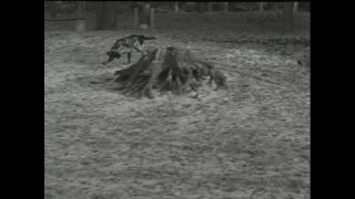 Link to Video | Paul Karl Lieberenz