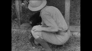 Link to Video | Paul Karl Lieberenz, Kamerun