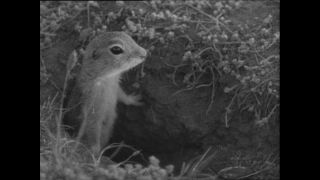 Link zum Video | Paul Lieberenz