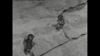 Link to Video | Paul Karl Lieberenz