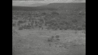 Link to Video | Paul Karl Lieberenz, airplane, Kamerun