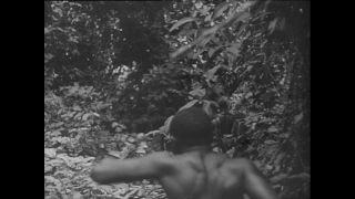 Link to Video | Paul Karl Lieberenz, Kamerun