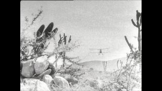 Link to Video | Paul Karl Lieberenz, airplane, Kamerun