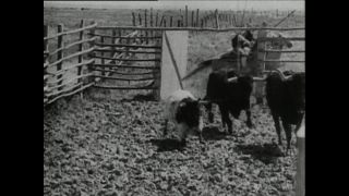 Link to Video | Paul Karl Lieberenz