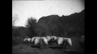 Link to Video | Paul Karl Lieberenz