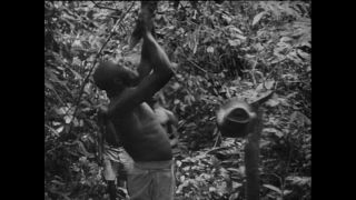 Link to Video | Paul Karl Lieberenz, Kamerun