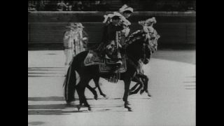 Link to Video | Paul Karl Lieberenz