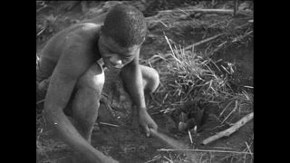 Link to Video | Paul Karl Lieberenz, Kamerun