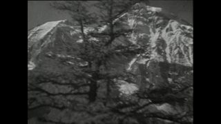 Link to Video | Paul Karl Lieberenz