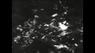 Link to Video | Paul Karl Lieberenz