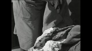 Link to Video | Paul Karl Lieberenz