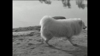 Link zum Video | Paul Lieberenz