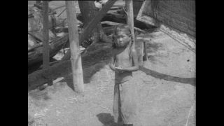 Link to Video | Paul Karl Lieberenz