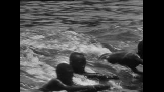 Link to Video | Paul Karl Lieberenz, Kamerun