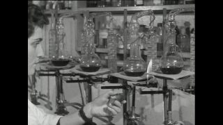 Link to Video | Paul Karl Lieberenz