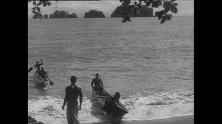 Link to Video | Paul Karl Lieberenz, Kamerun