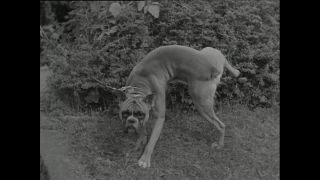 Link to Video | Paul Karl Lieberenz